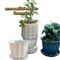 ราคา กระถางพลาสติก ทรงดอกไม้ พร้อมจานรอง มีให้เลือกหลายสี พร้อมส่ง (29658138452)