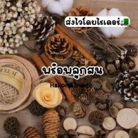 ราคา พร้อมส่ง ลูกสน พร๊อพถ่ายรูป ลูกสนธรรมชาติ แผ่นไม้ ลูกสนแห้ง พร๊อพถ่ายสินค้า ของแต่งบ้าน (45951846112)