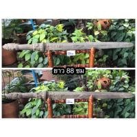ราคา ของโบราณ สำริดโบราณ สวยสมบูรณ์ ยาว 88 ซม/ไม่รวมฐานตั้ง (21489331682)