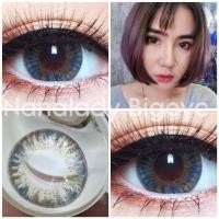 ราคา cocoro gray brown Wink คอนเเทคเลนส์ บิ๊กอาย Bigeye/ (12998803407)
