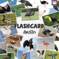 ราคา Flashcards สัตว์ปีก (birds) (1059277413)