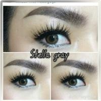 ราคา Stella gray (28206426)