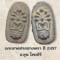 ราคา พระผงนาคปรกนางตรา ปี 2497 อ.ชุม ไชยคีรี (43361764397)