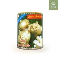 ราคา เมล็ดพันธุ์ มันแกว มันสะเภา พันธุ์สะเภาแก้ว กระป๋อง 1/4 ตราปลาทอง ขาว ฉ่ำ หวานกรอบ บรรจุ 60 กรัม (25360632505)