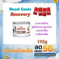 ราคา Royal Canin Recovery 195g อาหารเปียก กระป๋อง สำหรับสุนัขป่วย แมวป่วย หลังผ่าตัด ระยะพักฟื้น 195 กรัม (20124825271)