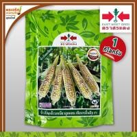 ราคา เมล็ดพันธุ์ ข้าวโพดข้าวเหนียว เทียนหมื่นฝัก F1 (1 กิโลกรัม) เมล็ดข้าวโพดเทียนศรแดง เมล็ดพันธุ์ผักสวนครัว ตราศรแดง (9919455402)