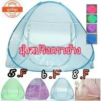 ราคา ลดราคาพิเศษสุดๆ มุ้งเต็นท์ มุ้งสปริง มุ้ง (3084155311)