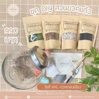 ราคา ชุดจัดสวนขวดแก้ว ไซส์ XXL -ขวดกลมเอียง (18973739341)