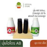 ราคา ชุดปลูกผัก สลัด ไฮโดรโปนิกส์ ปุ๋ยไฮโดรโปนิกส์ ปุ๋ยน้ำ ปุ๋ย AB สารละลาย AB ธาตุอาหาร AB ผักสลัด DIY (6841164918)