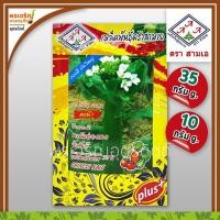 ราคา เมล็ดพันธุ์ คะน้าหวาน คะน้าฮ่องกงจัมโบ้ 3A ต้นใหญ่ (แบบซอง) เมล็ดคะน้าฮ่องกง เมล็ดพันธุ์ผักสวนครัว ตราสามเอ (3195906293)