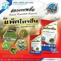 ราคา แพ็คโทรซีน ไพมีโทรซีน ใช้ป้องกันกำจัดแมลง เช่น เพลี้ยกระโดด, เพลี้ยจักจั่นฝ้าย, เพลี้ยจักจั่นมะม่วง, เพลี้ยจักจั่นฝอย (29774341147)