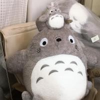 ราคา TOTORO โตโตโร่ ตุ๊กตาโทโทโร่ ถือห่อข้าว *พร้อมส่ง* (9713815457)