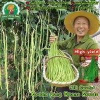 ราคา คุณภาพดี 30 เมล็ด เมล็ดถั่วฝักยาว Long Beans Seeds for Planting Vegetables Plants เมล็ดถั่วฝักยาว เมล็ดพันธุ์ถั่วฝักยาว (40023384265)