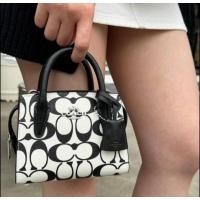 ราคา COACH CO973 Andrea Mini Carryall In Signature (24969114582)