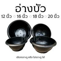 ราคา อ่างบัว กระถางชวนชม กระถางบัว อ่างพลาสติก ขนาด 12" 16" 18" 20" (27384387068)