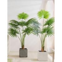 ราคา ต้นปล์ามจีน (พร้อมกระถางดำ) ต้นไม้ปลอมแต่งบ้าน ต้นไม้แต่งบ้าน ต้นไม้แต่งสวน บ้านและสวน( ส่งเร็วทุกวัน)Plant-L(KS) (21885057793)