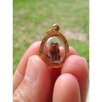 ราคา เสือหลวงพ่อปาน (ปลายเขี้ยว) เลี่ยมทอง (10370516180)