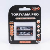 ราคา TORIYAMA ถ่านชาร์จ โทริยามา AA2950 P.2 ออกใบกำกับภาษีได้ สินค้าพร้อมส่ง แท้ 100% (21623922302)