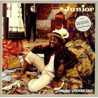 ราคา แผ่นเสียง Junior - Inside Lookin' Out (Vinyl) (VG+) (53951761781)