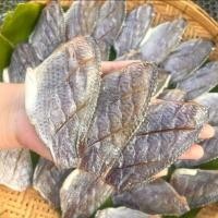 ราคา ปลานิลแดดเดียว ปลานิลเค็ม ปลานิลแห้ง ปลานิลแดดเดียวแบบเป็นตัว น้ำหนัก 500 กรัม (24520695819)