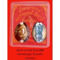 ราคา "เบี้ยแก้อาถรรพ์ ไตรมาส 54" ตัวใหญ่ หลวงพ่อมี วัดม่วงคัน จ.อ่างทอง (27575939392)