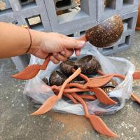 ราคา กระบวยตักน้ำ จาก กะลามะพร้าว งานแฮนด์เมด (29075586197)