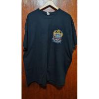 ราคา เสื้อยืด GILDAN (มือสองของแท้) (29475615389)