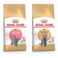 ราคา Royal Canin British Shorthair สูตรแมวโต 2 Kg (2993688952)