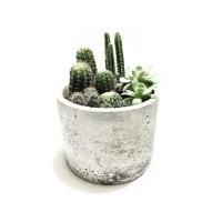 ราคา กระถางปูนเปลือย_กระถางเคลือบเงา_กระถางปูนเปลือยขนาดใหญ่_กระถางสี่เหลี่ยม_กระถางวงกลม (11020419036)