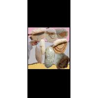 ราคา คอนน้ำหวานผิ้งมิ้ม/รวงผึ้งแท้ (28303708743)