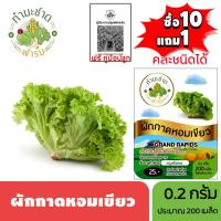 ราคา ทำมะชาดฟาร์ม (ซื้อ10แถม1) เมล็ดพันธุ์ ผักกาดหอมเขียว ขนาด0.2กรัม ประมาณ200เมล็ด GRAND RAPIDS ผักกาดหอม ผักสลัด (4736166497)