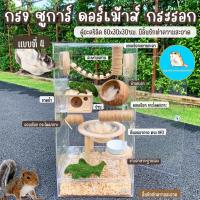 ราคา ตู้No.4 กรงเลี้ยงชูการ์ ดอร์เม้าส์ กระรอก 30x30x60ซม./กรงชูการ์ กระรอกจิ๋ว บ้านชูการ์ (13595917160)