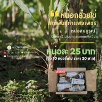 ราคา หน่อกล้วยไข่พันธุ์กำแพงเพชรแท้ ซื้อ10หน่อขึ้นไปราคาส่ง20บาท/หน่อ (11435398849)