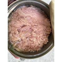 ราคา เซต 12 กระป๋อง ปลาทูน่าในน้ำมัน 160-185กรัม ฝาดึง(คนทาน) (23726618702)