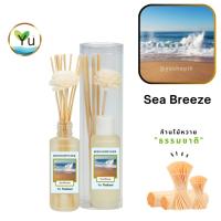 ราคา ก้านไม้หอม กระจายกลิ่น 50 ml. กลิ่น Sea Breeze (ซีบรีซ) | เซตกล่อง PVC (7452492208)