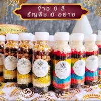 ราคา ชุดถวายพระพิฆเนศ ข้าว 9 สี ธัญพืชมงคล 9 อย่าง ข้าวมงคล ข้าวอักษัต 9 สี (24954419024)