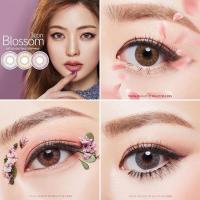 ราคา 《พร้อมส่ง 1/7》O-LENS Blossom 3Con | รายเดือน (1688852388)