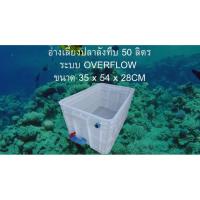 ราคา อ่างเลี้ยงปลาลังทึบ 50 ลิตร ขนาด 35 x 54 x 28 CM ระบบ OVERFLOW วาล์วฟ้า อ่างปลาบอลลูน อ่างปลาหางนกยูง อ่างปลาเมดากะ (52955063685)