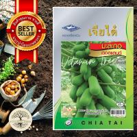 ราคา เมล็ดพันธุ์ มะละกอฮอลแลนด์ (7051413830)