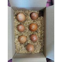 ราคา ไข่เชื้อ ไก่ไข่ สายพันธุ์โร๊ดไอแลนด์ไวท์ อังกฤษ 1ชุด6ฟองแถมประกันแตก1ฟอง (22106113571)