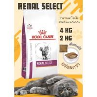 ราคา [ นาทีทอง‼️] Royal Canin Renal Select 4 kg 2 kg อาหารแมวโรคไต สูตรน่ากิน กรอบนอกนุ่มใน 2 กก 4 กก. ด่วน‼️จำนวนจำกัด (14146717430)