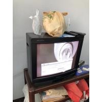 ราคา โทรทัศน์ SONY KV-2184S 21นิ้ว (21959146028)