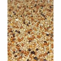 ราคา อาหารนกหงส์หยก นกหงส์หยก มิลเล็ทรวม มิลเล็ท 3 สี น.น. 1 ก.ก. เพียง 47 บาท อาหารนก นก นกหงส์หยก (25819377858)