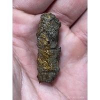 ราคา ตะกรุดหน้าผากเสือหลวงพ่อจง วัดหน้าต่างนอก จ.อยุธยา ยุคต้น (24725205023)