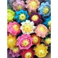 ราคา เหรียญโปรยทานงานบวชดอกบัวฉัตรมณีตัวเปล่า 30 ตัว (28073874945)