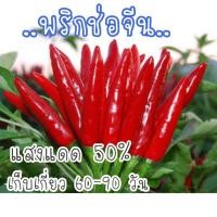 ราคา เมล็ด​พันธุ์​ พริกช่อจีน​ สีแดง​ 30​ เมล็ด​ (4135338060)
