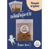 ราคา เมล็ดพันธุ์มะแว้งต้นมะแว้งลาย100เมล็ด (22577668262)