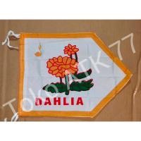 ราคา ธงลูกเสือ Dahlia Troop (50805472067)