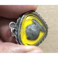 ราคา 17.ปลาตะเพียน หลวงพ่อจง (4170447951)