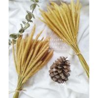 ราคา ดอกหญ้าหางกระรอก ดอกหญ้า ดอกหางกระรอก หางกระรอก หญ้าแห้ง หญ้าแห้งธรรมชาติ (8924319561)